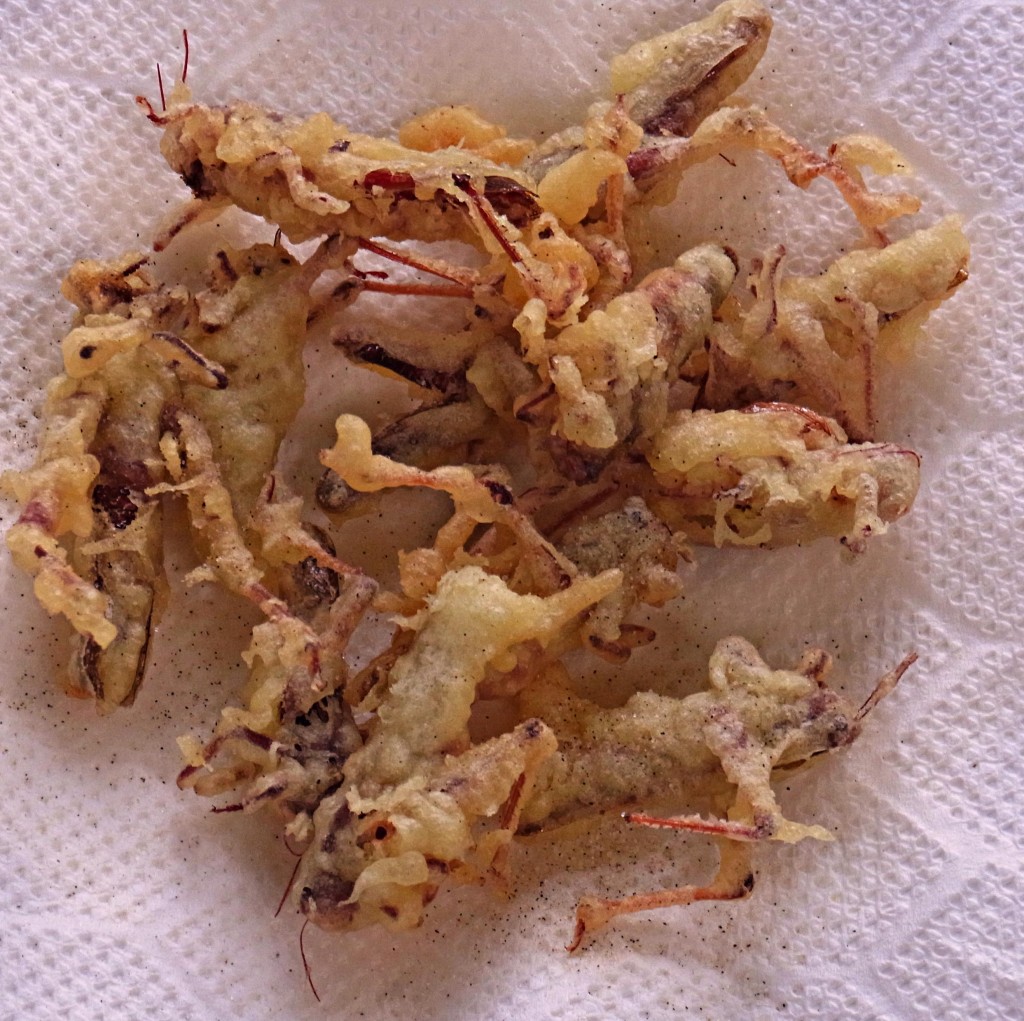 RIMG0037