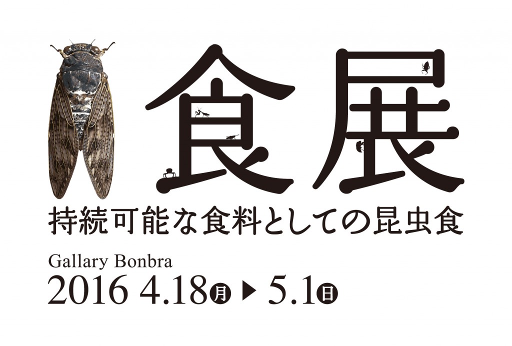 DMビジュアル面_再