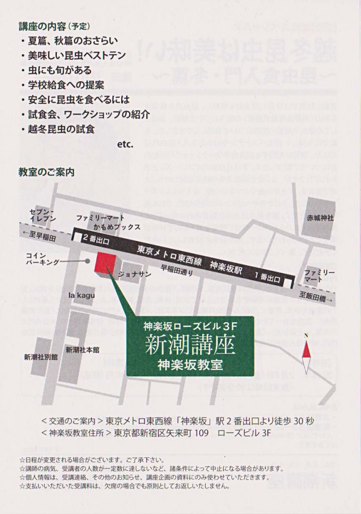 裏