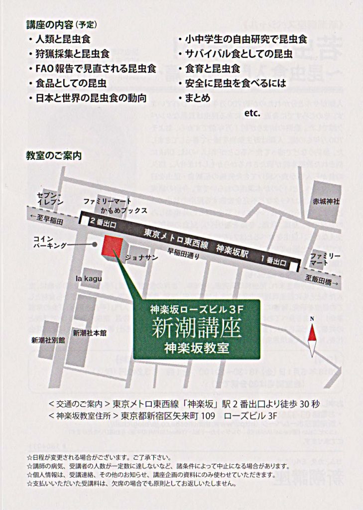 裏